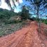  Land for sale in Thalang, Phuket, Sakhu, Thalang