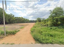  Land for sale in Songkhla, Kamphaeng Phet, Rattaphum, Songkhla