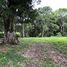  Land for sale in Orotina, Alajuela, Orotina