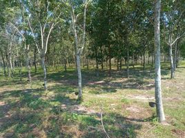  Land for sale in AsiaVillas, Ban Tat, Ban Dung, Udon Thani, Thailand