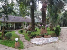 4 спален Дом for rent in Чианг Рай, Pa O Don Chai, Mueang Chiang Rai, Чианг Рай