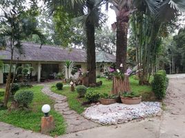 4 Schlafzimmer Haus zu vermieten in Mueang Chiang Rai, Chiang Rai, Pa O Don Chai, Mueang Chiang Rai