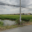  Land for sale in Lam Phak Chi, Nong Chok, Lam Phak Chi