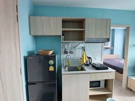 คอนโด 1 ห้องนอน ให้เช่า ในโครงการ นิว โนเบิล ศรีนครินทร์ – ลาซาล, สำโรงเหนือ, เมืองสมุทรปราการ, สมุทรปราการ, ไทย