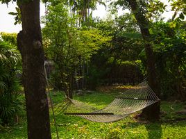 3 Schlafzimmer Haus zu vermieten in AsiaVillas, Din Daeng, Din Daeng, Bangkok, Thailand