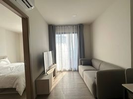 1 Bedroom Condo for rent at NIA By Sansiri, Phra Khanong Nuea, Watthana, Bangkok