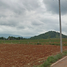  Land for sale in Nakhon Ratchasima, Khanong Phra, Pak Chong, Nakhon Ratchasima