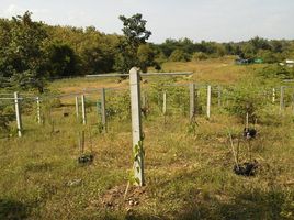 在喃邦出售的 土地, Phrabat, Mueang Lampang, 喃邦