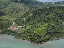 ขายที่ดิน ใน ตะกั่วทุ่ง พังงา, หล่อยูง, ตะกั่วทุ่ง, พังงา, ไทย