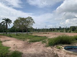  Land for sale in Krabi Noi, Mueang Krabi, Krabi Noi