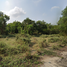  Land for sale in Sam Khok, Pathum Thani, Chiang Rak Noi, Sam Khok