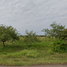  Land for sale in That Phanom, Nakhon Phanom, That Phanom, That Phanom