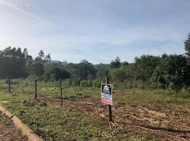  Grundstück zu verkaufen in Dois Irmaos, Rio Grande do Sul, Dois Irmaos