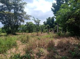  Land for sale in Prachin Buri, Nong Phrong, Si Maha Phot, Prachin Buri