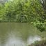  Land for sale in Doi Saket Chiang Mai, Choeng Doi, Doi Saket, Chiang Mai, Thailand