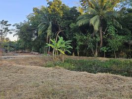  Land for sale in Loei, Chiang Khan, Chiang Khan, Loei