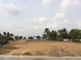  Land for sale in Bang Rak Yai MRT, Bang Rak Yai, Bang Rak Noi