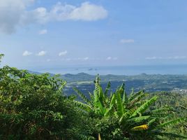  Grundstück zu verkaufen in Koh Samui, Surat Thani, Lipa Noi, Koh Samui