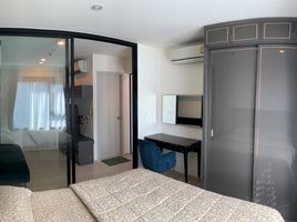 1 Schlafzimmer Appartement zu vermieten im Life Asoke, Bang Kapi