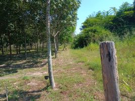  Land for sale in Ban Tat, Ban Dung, Ban Tat