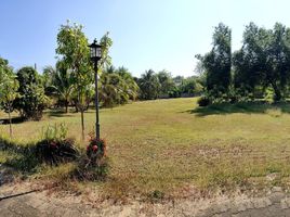  Land for sale in Phrae, Na Chak, Mueang Phrae, Phrae