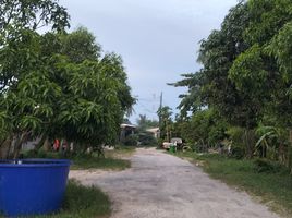 2 Schlafzimmer Villa zu vermieten in Phangnga, Thai Mueang, Thai Mueang, Phangnga