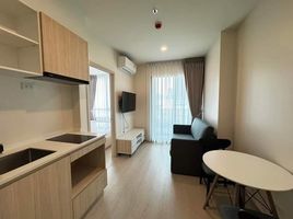 1 Schlafzimmer Appartement zu vermieten im Nue Noble Ratchada-Lat Phrao, Chantharakasem