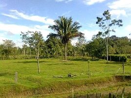  Land for sale in Limon, Siquirres, Limon