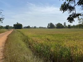  Grundstück zu verkaufen in Nong Mamong, Chai Nat, Saphan Hin