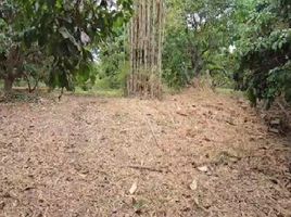  Land for sale in Thung Satok, San Pa Tong, Thung Satok