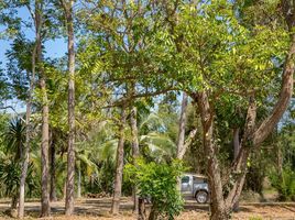  Land for sale in Thailand, Ban Kao, Mueang Kanchanaburi, Kanchanaburi, Thailand