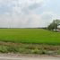  Land for sale in Bang Len Nakhon Pathom, Nara Phirom, Bang Len, Nakhon Pathom