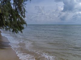  Grundstück zu verkaufen in Koh Samui, Surat Thani, Taling Ngam