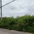  Land for sale in Tiger Park Pattaya, Nong Prue, Nong Prue