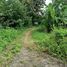  Land for sale in Phrae, Huai Mai, Song, Phrae