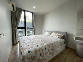 1 Bedroom Condo for rent at The Base Height, Talat Yai, Phuket Town, Phuket