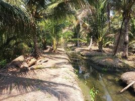  Land for sale in Amphawa, Samut Songkhram, Tha Kha, Amphawa