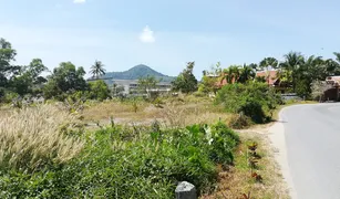 N/A Grundstück zu verkaufen in Kamala, Phuket 