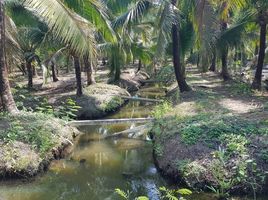  Grundstück zu verkaufen in Bang Khonthi, Samut Songkhram, Chom Pluak, Bang Khonthi