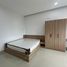Studio Townhouse for rent in Son Tra Da Nang, Phuoc My, Son Tra, Da Nang