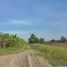  Land for sale in Lat Lum Kaeo, Pathum Thani, Na Mai, Lat Lum Kaeo