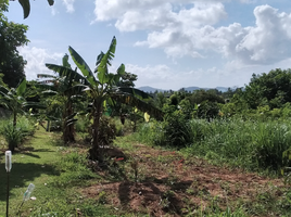  Grundstück zu verkaufen in Takua Thung, Phangnga, Khok Kloi, Takua Thung