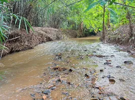  Grundstück zu verkaufen in Chiang Dao, Chiang Mai, Ping Khong