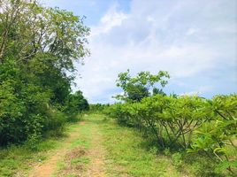  Land for sale in Wang Dong, Mueang Kanchanaburi, Wang Dong