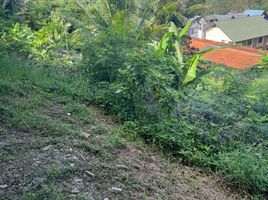  Land for sale in Phuket Town, Phuket, Karon, Phuket Town