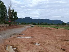  Grundstück zu verkaufen in Lao Khwan, Kanchanaburi, Nong Pradu