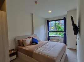 2 Bedroom Condo for rent at Dcondo Reef Phuket, Kathu