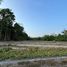  Land for sale in Thai Mueang, Phangnga, Thai Mueang, Thai Mueang