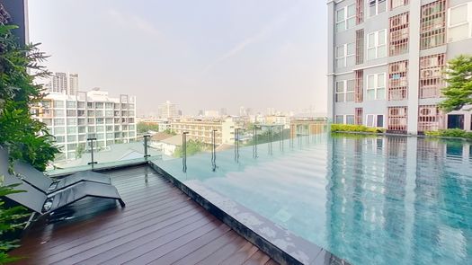 3D Walkthrough of the Communal Pool at Centric Ratchada-Suthisan