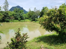 ขายที่ดิน ใน วังสะพุง เลย, วังสะพุง, วังสะพุง